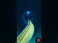 POV: This eel found something underwater that should NOT be alive… 😨🌊