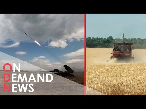 How Are Russian Missiles DESTROYING Food Supply Chains?