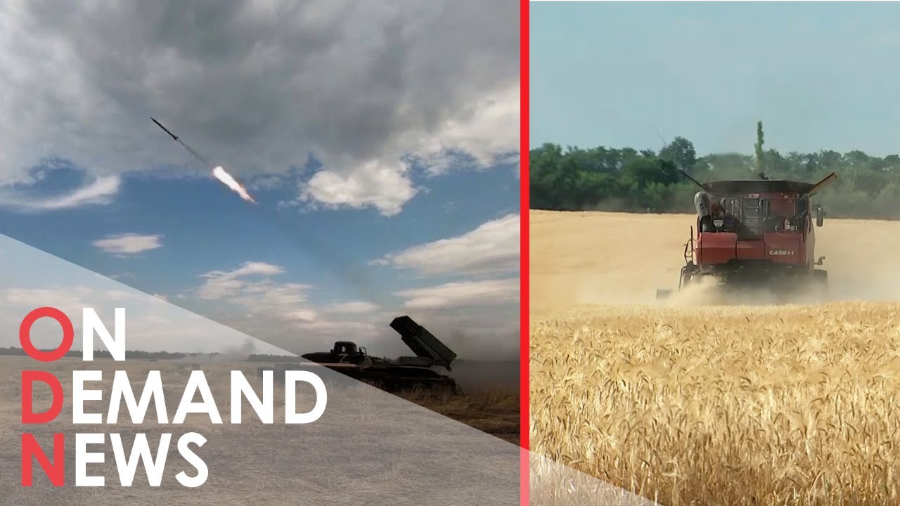 How Are Russian Missiles DESTROYING Food Supply Chains?