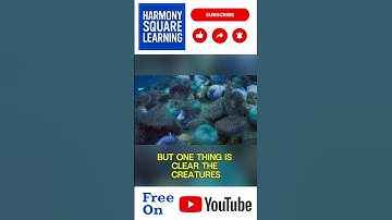 Vreemde ecosystemen en hun vreemde dieren 2