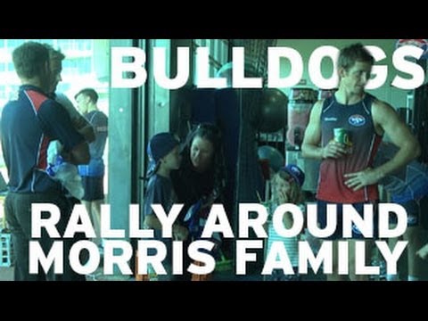 kickboxen Dogs rally around Morris' after bushfires