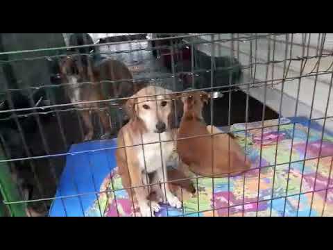 ‫רטוב וקר‬‎ - YouTube