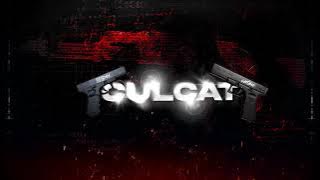 808COX feat. ​⁠Cătău - CULCAT (Visualizer)