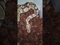 #CataractRoyals #BallPython #Breeding Something new