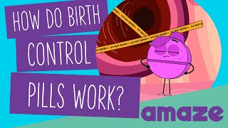 How Do Birth Control Pills Work? screenshot 3