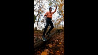 Why You Should Run In The Forest