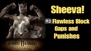 Mortal Kombat 11- Sheeva Flawless Block Gaps and Punishes.