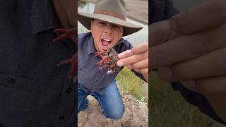 Using trash to make a crayfish trap! #survival #survivalskills #crayfish