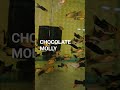 Charming Chocolate Molly Fish # Molly Fish #Fish # Aquarium # Shorts #youtubeshorts