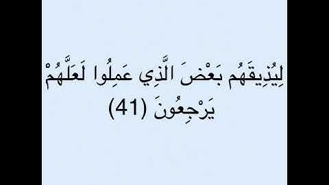 مقطع 4 سورة الروم من الآية 40 حتى الآية 45