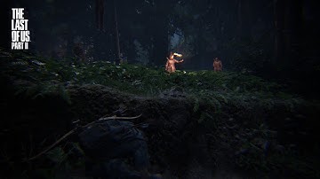 The Last of Us™ Part II stealth / Brutal kills | the seraphites | ELLIE ( seattle day 2)