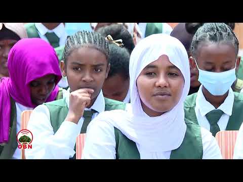 Barattoonni Sadarkaa Gadii Irraa Jalqabanii Kalaqa Irratti Xiyyeeffachuu Qabu Jedhame