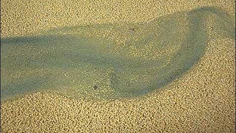 Experimental estuary formed from a straight channel in a periodically tilting flume - I