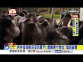 男神張凌赫深夜到廈門! 網瘋傳今參加"海峽論壇"│中視新聞 20260613