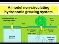 Growing Vegetable Crops by Non Circulating Hydroponic Methods by B A  Kratky