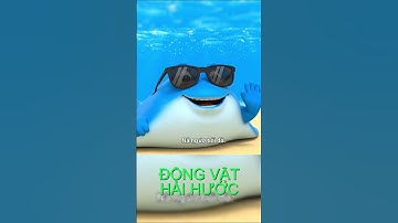 đừng đến gần đuôi cá đuối nhé