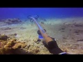 Hawaii spearfishing 2020 solo mish