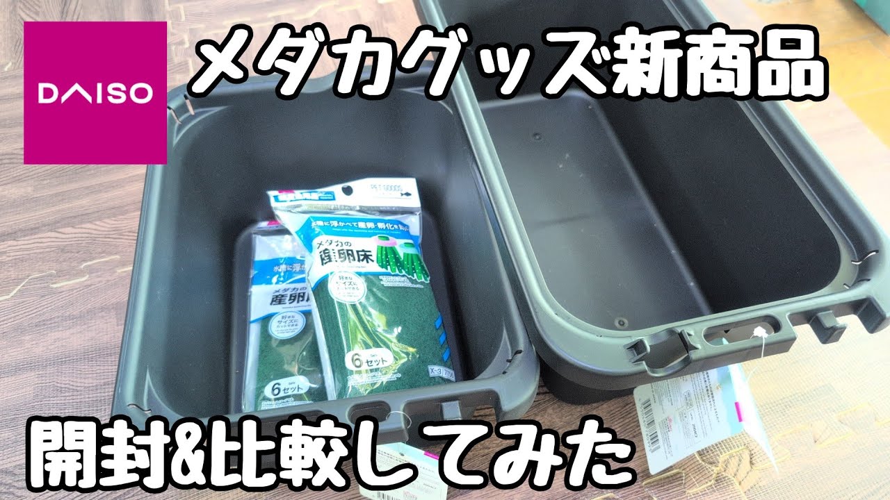トロファスト＋ダイソー メダカ水槽用容器31個セット 中古品 maxresdefault.jpg