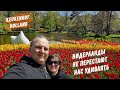 Кёкенхоф (Keukenhof) цветочный парк / Парк который радует глаз и греет душу