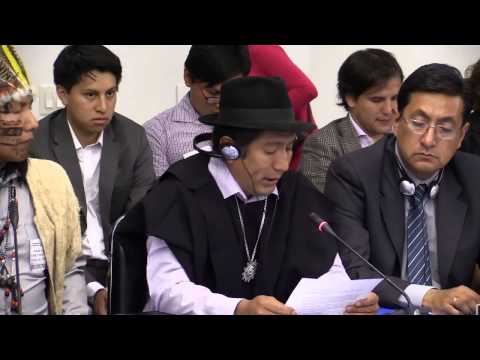 Situación de derechos humanos de los pueblos indígenas en Ecuador