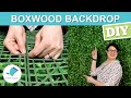 Portable Boxwood Wall Backdrop