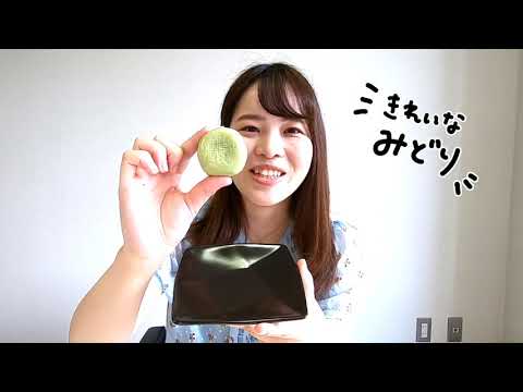 【福島県観光物産館】福島県菓子名物セレクション！変わり種も【2020年夏・福島県】