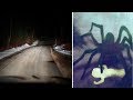 Download Did This Person Encounter A Giant Spider On A Highway In Canada? Did This Person Encounter A Giant Spider On A Highway In Canada?