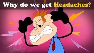 Why do we get Headaches? + more videos | #aumsum #kids #science #education #children