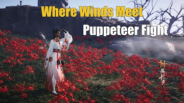 How to Beat Puppeteer Sheng Wu - Where Winds Meet