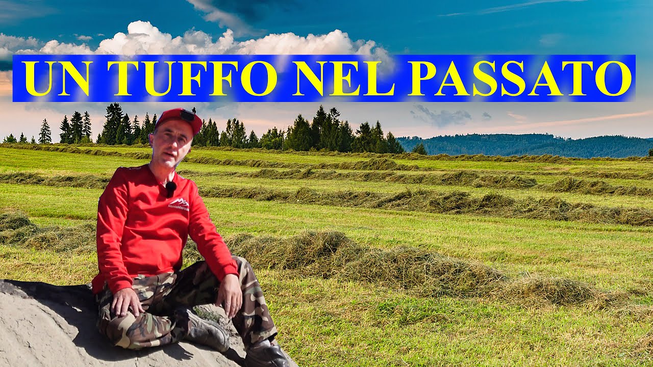 Agricoltura del 1995. Benefici della fienagione a ventilazione forzata