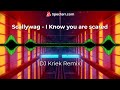 Scallywag  i know you are scared dj kriek remix