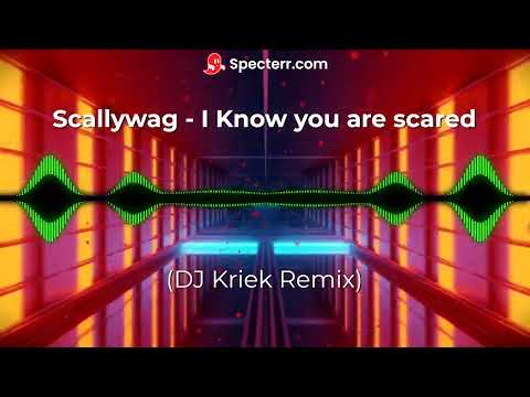 Scallywag - I Know you are scared (DJ Kriek Remix)