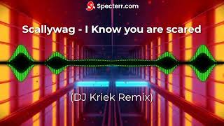 Scallywag - I Know you are scared (DJ Kriek Remix)