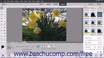 Photoshop Elements 15 Tutorial Filters & the Filter Gallery Adobe Training