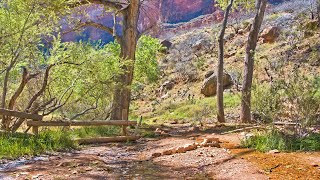 Grand Canyon Day Hike  South Kaibab Tonto Bright Angel