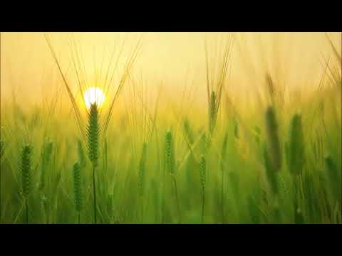 2 سورة البقرة رواية ورش شبيهة بالحدر