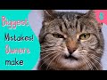 Top Mistakes You&#39;re Making with your Cat | Furry Feline Facts