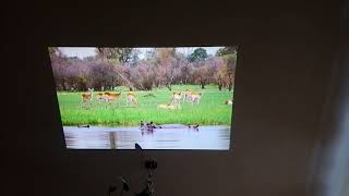 Projektor Lg Pb60G Jv