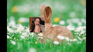 Easter bunnies dance to Rihanna's „Rude Boy”