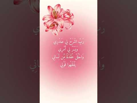 أ ك ت ب ف ي الت ع ل يق ات الله أ ك ب ر