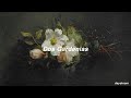 dos gardenias ; ángel canales // letra