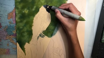 The Art of Birding - West Virginia Bobolink