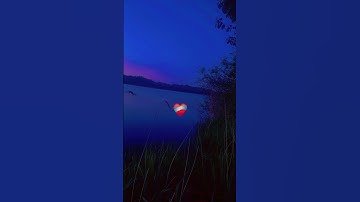 قران كريم #تلاوة #اكسبلور #المراه #غزة #nature #النظافه #عبدالرحمن_مسعد #birds #الجيلي #automobile