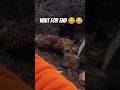 #shorts #ytshorts #unexpected