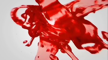 BioPython Installation