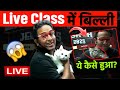 Live Class में बिल्ली ये कैसे आई 😲 |  Saleem Sir Live Class Me Cats  | Physicswallah