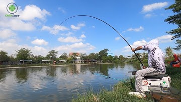 TEST CẦN SĂN HÀNG KHỦNG "BÁO ĐEN" CÂU CÁ TRA | SIÊU PHẨM CẦN CÂU SĂN HÀNG 2022