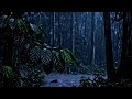 🌙 Dark Forest Rain Sounds — Calm Night Ambience for Deep Sleep &amp; Relaxation 💧