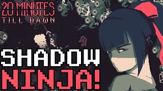 SHADOW NINJA! (DARKNESS 10) - 20 Minutes Till Dawn