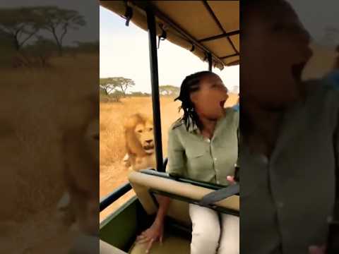 مقلب قطع الخلف ترند